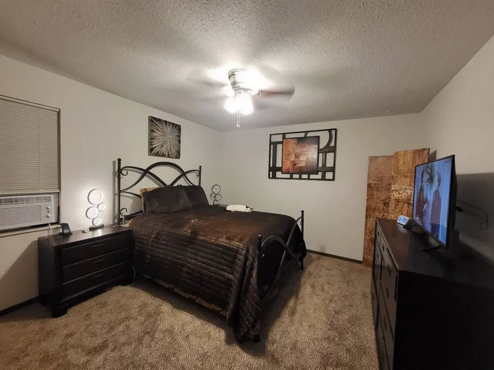 Faux fur queen comforter set